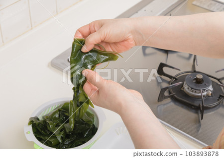 [Housewife cooking raw seaweed with a trivet] 103893878