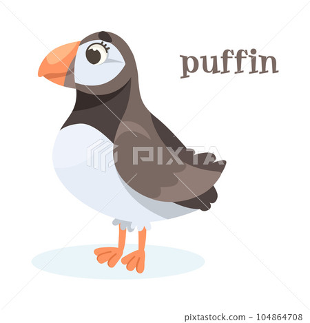 Puffin Bird with Large Beak as Animal of North Vector Illustration 104864708