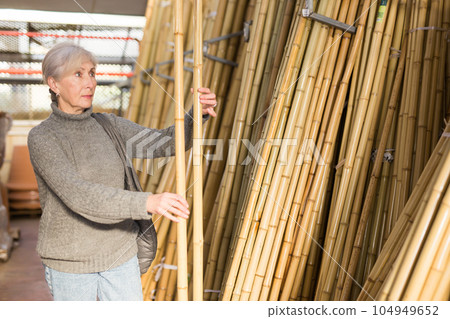 Mature woman choosing bamboo pole in store 104949652