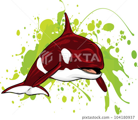 illustration of killer whale jumping out of water 104180937