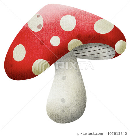 Mushroom  105613840