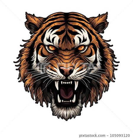 Angry Tiger Head 105093120