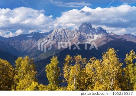 Autumn Landscape with birch forest and mountain peak Ushba 105226537