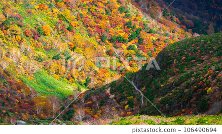 Climbing Mt. Adatara in autumn: Autumn leaves near Kurogane hut 106490694