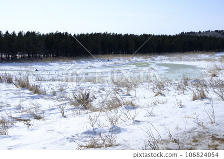 野付半島奈原原的雪景 106824054