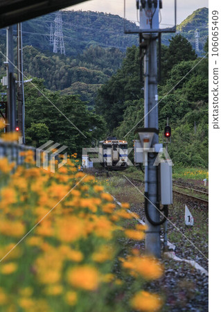 基哈有軌電車 106065409