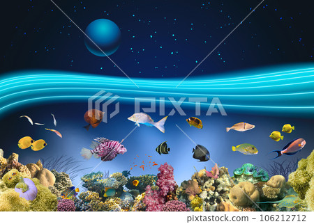 Nature seascape with underwater creatures and night starry sky over surface - coral reef and fishes 106212712