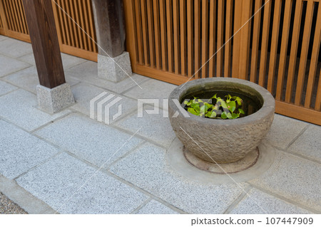 Landscape with a stone mill: Japanese entrance 107447909