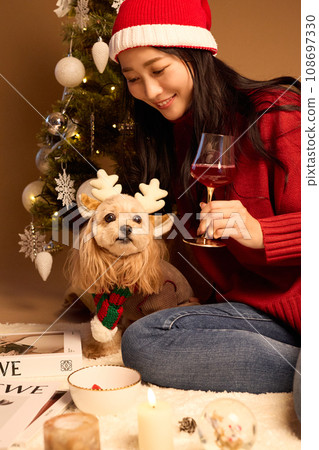 Christmas with a pet dog 108697330