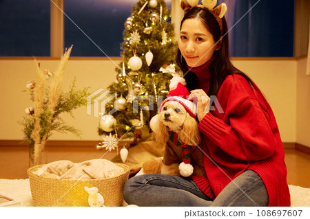 Christmas with a pet dog 108697607