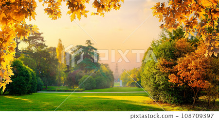 Sempione Park in autumn 108709397