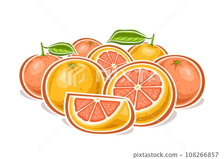 Vector logo for Grapefruits 108266857