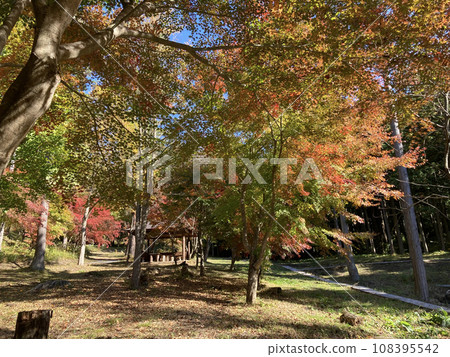 Brightly colored autumn leaves in the mountain village 108395542