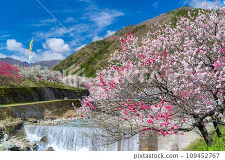 [Togenkyo] Hanamomo no Sato in Achi Village [Nagano Prefecture] 109452767