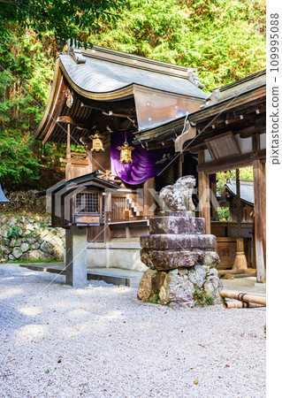 Main shrine of Usa Hachiman Shrine in Nishikori, Otsu City, Shiga Prefecture 109995088