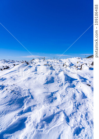 [冬季素材]北小岳雪中的登山風景[長野縣] 109186488