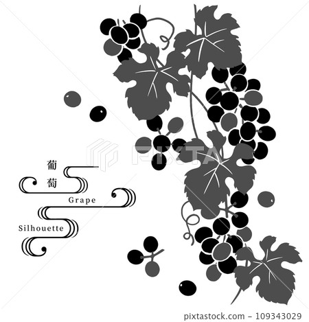 Grape silhouette vector illustration 109343029