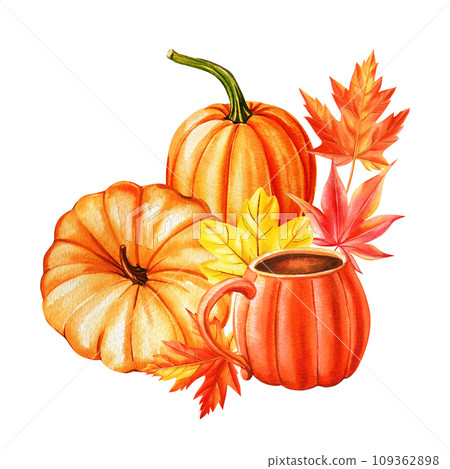 Watercolor sunflower, pumpkin and colorful leaves, autumn clipart. Watercolor floral illustration. Hand drawn pumpkins 109362898