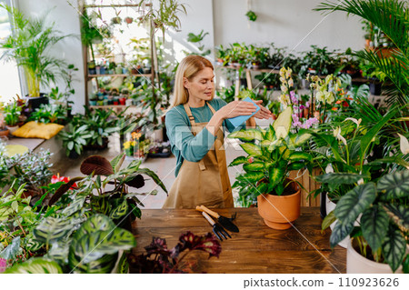 A beautiful middle-aged woman dusting, tending to the leaves of potted plants in the verdant interior of a home or florist's shop. 110923626