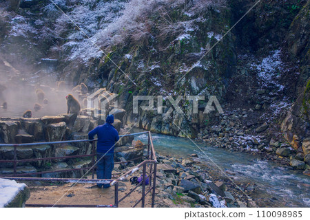 Snow monkeys relaxing in a hot spring [Jigokudani Monkey Park] 110098985