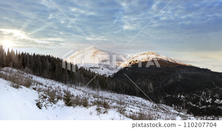 Winter daybreak mountain landscape (Ukraine, Carpathians, Petros Mountain) 110207704