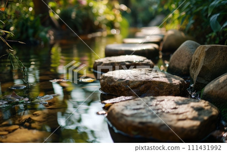 Tranquil Path: Stepping Stones Across a Serene Strea 111431992