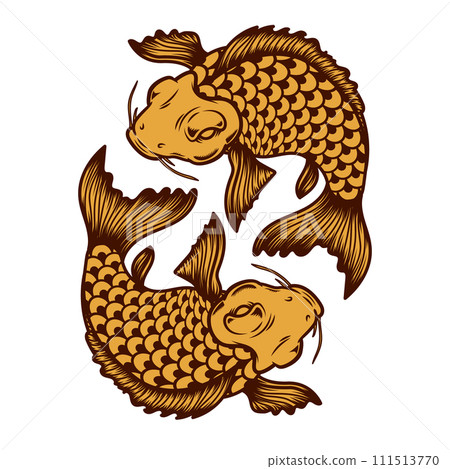 Illustration of carp koi. Design element for poster, card, banner, menu. Vector illustration 111513770