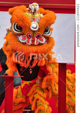 Lion dancing in the Spring Festival 111643421