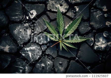 Marijuana leaf on black and cracked burnt earth. 111925607