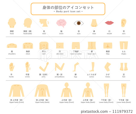 身體部位圖示集部分人體象形圖健康上半身下半身按摩醫療 111979372
