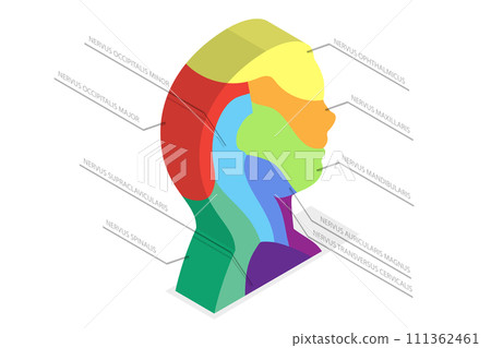 3D Isometric Flat  Conceptual Illustration of Sensory Nerves , Sensations of the Face, Scalp and Neck 111362461