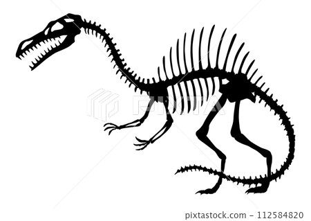 Dinosaur skeleton. Dino monsters icon. Shape of real animal. Sketch of prehistoric reptiles. Vector illustration isolated on white. Hand drawn sketch 112584820