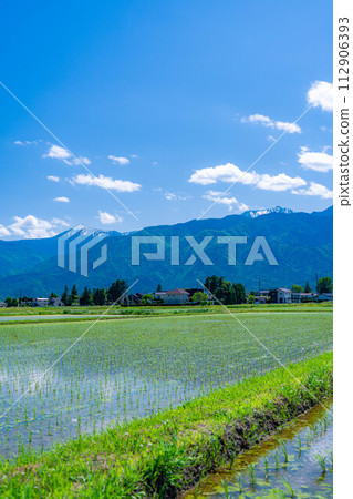 [Early summer material] Rice fields and water mirrors in Azumino City [Nagano Prefecture] 112906393