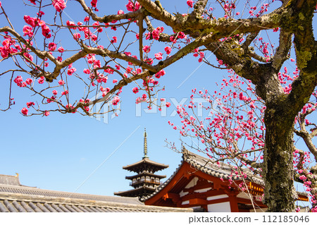 [Nara Prefecture] Yakushiji Temple, Nara City (Photo taken on February 28, 2024) 112185046