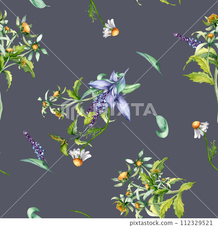 Sage herbal plant, bur-marigold watercolor seamless pattern isolated on dark background. Salvia, nettle, chamomile, daisy useful flowers hand drawn. Design for label, package, home textile, wrapping 112329521