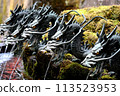 Hakone Shrine Dragon 113523953