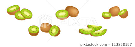 Fresh Kiwi Fruit with Green Pulp Vector Set 113858197