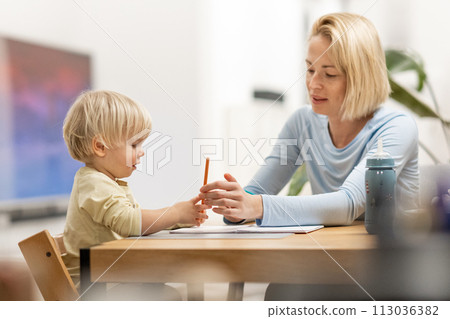 Caring young Caucasian mother and small son drawing painting in notebook at home together. Loving mom or nanny having fun learning and playing with her little 1,5 year old infant baby boy child 113036382