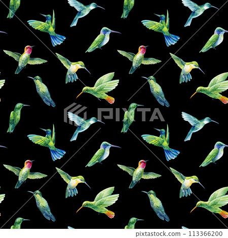 Watercolor colorful birds, hand drawn hummingbirds background. Seamless pattern, backdrop design, fabric, wallpaper 113366200