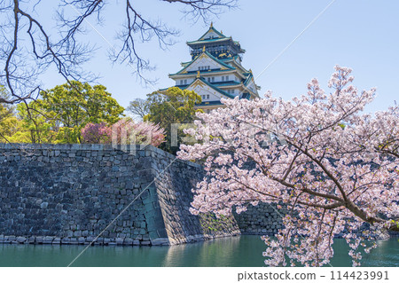 [Cherry Blossoms] Osaka Castle Park in Spring [Osaka Castle Tower] 114423991