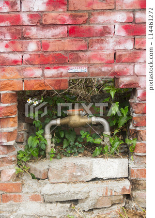 Brick wall and ivy 114461272