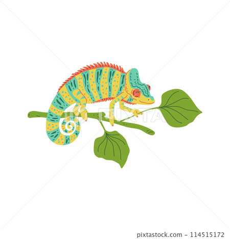 Cute small striped colorful chameleon on branch with leaves, vector cartoon tropical lizard, predator animal, exotic pet 114515172