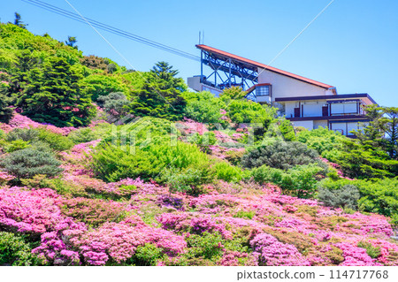 Miyamakirishi at Nita Pass, Unzen City, Nagasaki Prefecture 114717768