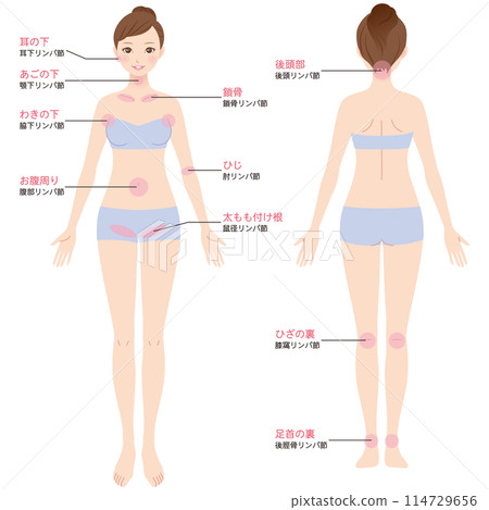 淋巴結按摩圖解 114729656