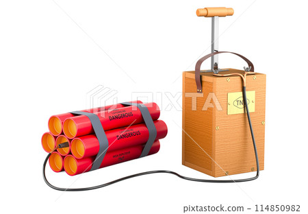 TNT bomb explosive with Blasting machine, shot exploder. 3D rendering 114850982