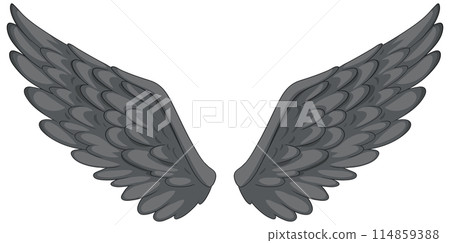 Elegant Grey Feathered Wings Illustration 114859388