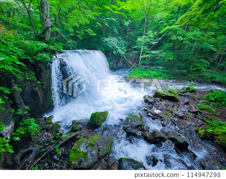 Oirase Stream: Choshi Falls 114947298