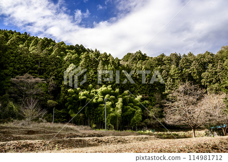 Landscape in late autumn 114981712