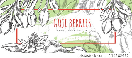 Horizontal seamless border with goji berries on a white background 114282682