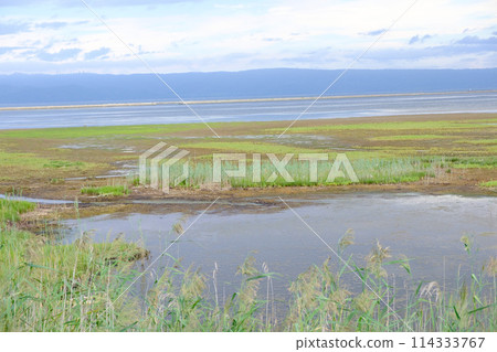 佐呂湖夏日風景 114333767